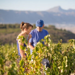False Bay, Old School Syrah 2023