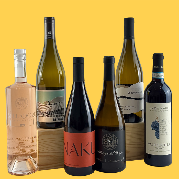 Summer Favourites Mixed Wine Case