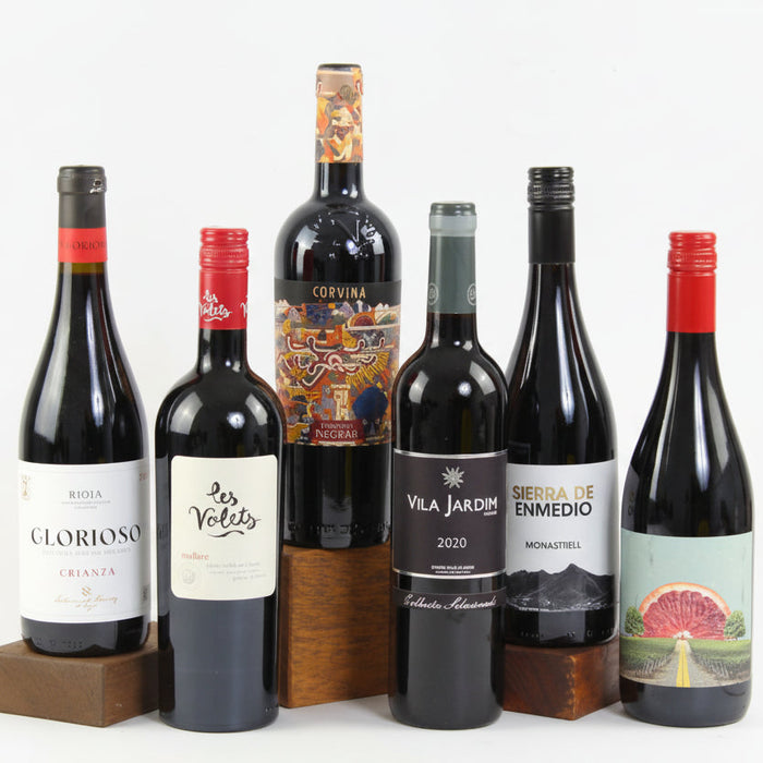 Collection of wine bottles with various labels on a white background
