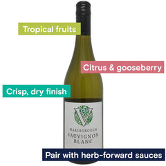 V Sauvignon Blanc 2025