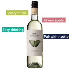 Bella Modella, Pinot Grigio Terre di Chieti 2024/25