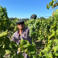 Casa de Vilacetinho, Grande Escolha Vinho Verde 2024