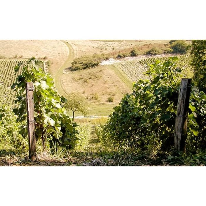 Emile Balland, Sancerre Croq Caillotte Vineyard