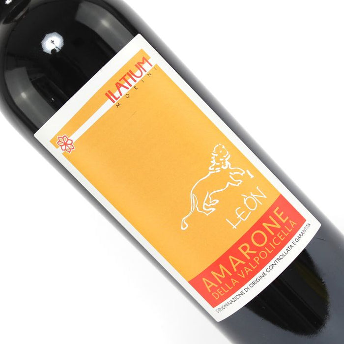 Ilatium Morini, Amarone della Valpolicella "Campo Leon" 2016 Close Up