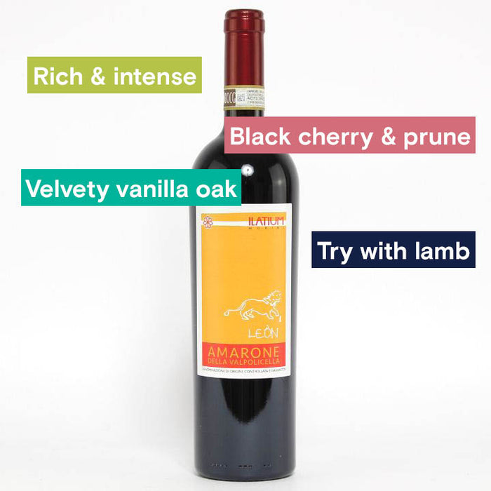 Ilatium Morini, Amarone della Valpolicella "Campo Leon" and tasting notes